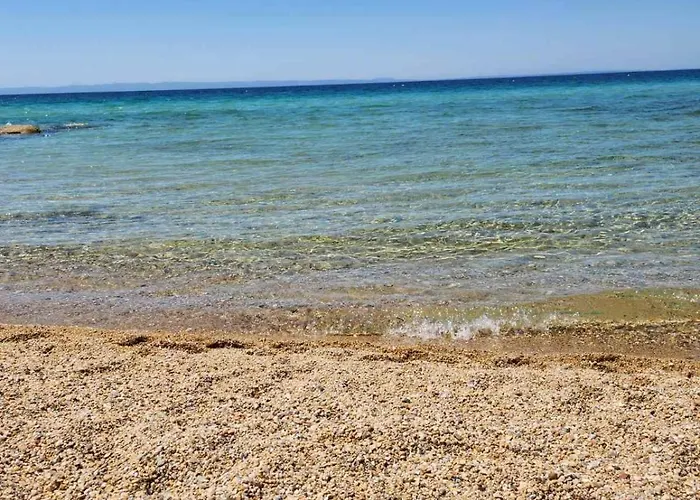 Exotic * Nikiti (Sithonia)