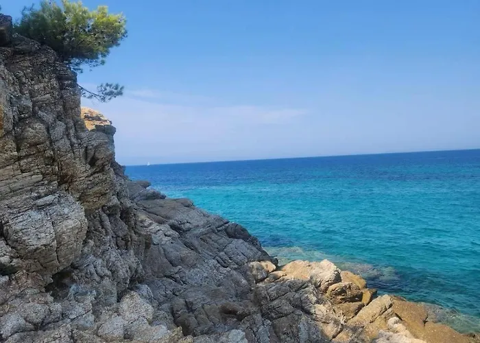 Exotic Nikiti (Sithonia)