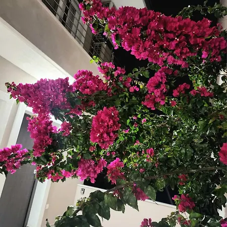 Exotic Apartmán