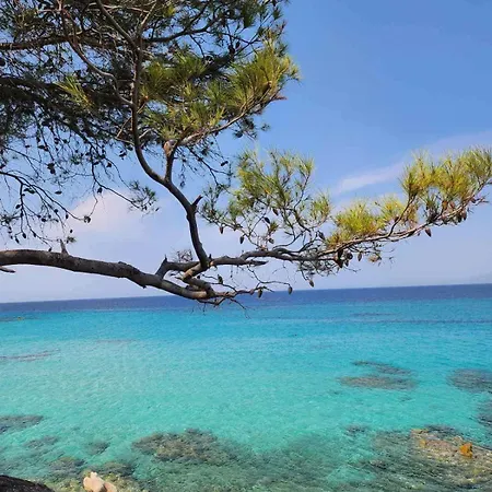 Exotic * Nikiti (Sithonia)