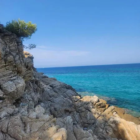 Exotic Nikiti (Sithonia)