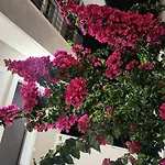 Exotic Apartment